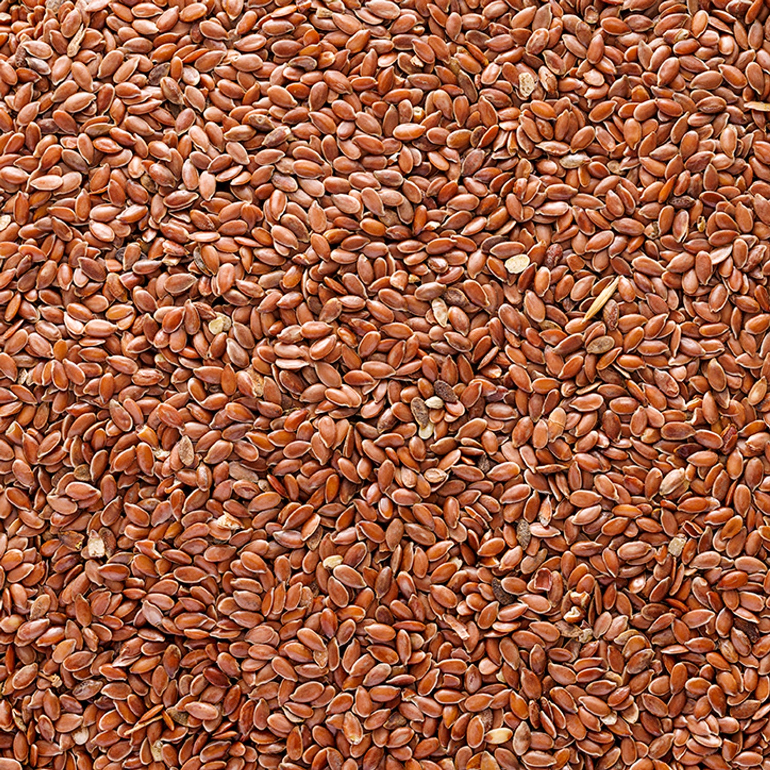 Holland & Barrett brown flaxseed 500g, UK version