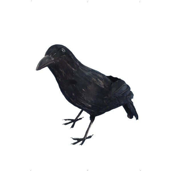 Smiffys black feathered crow decoration 33cm, imported from the UK