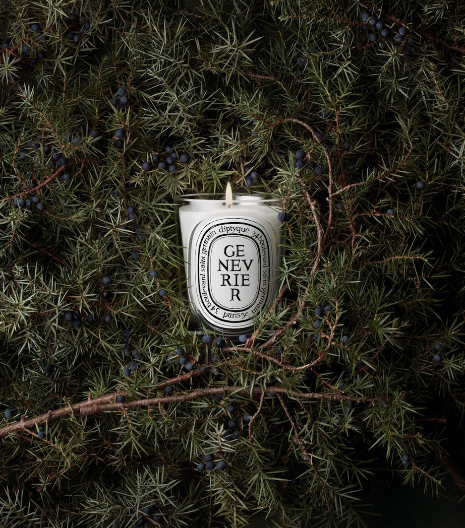 Diptyque Genevrier aromatic candle 190g (British brand)