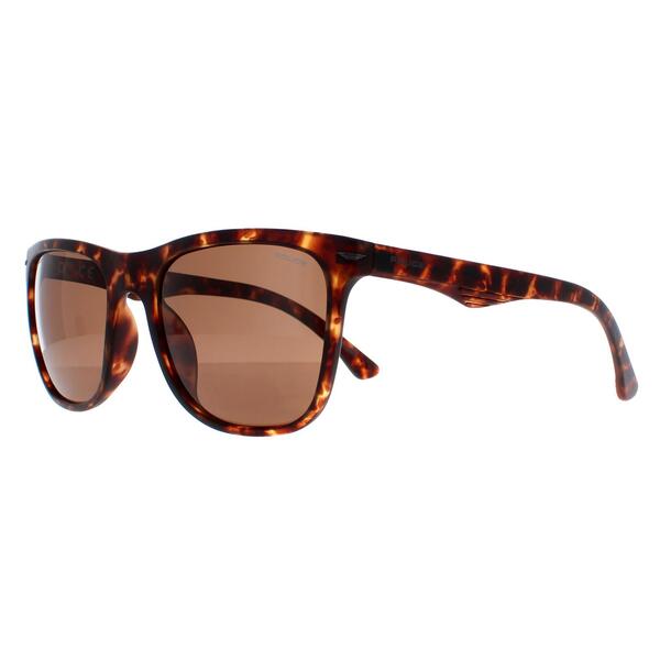 Police SPL357 Blackbird Light 2 brown men sunglasses, UK version