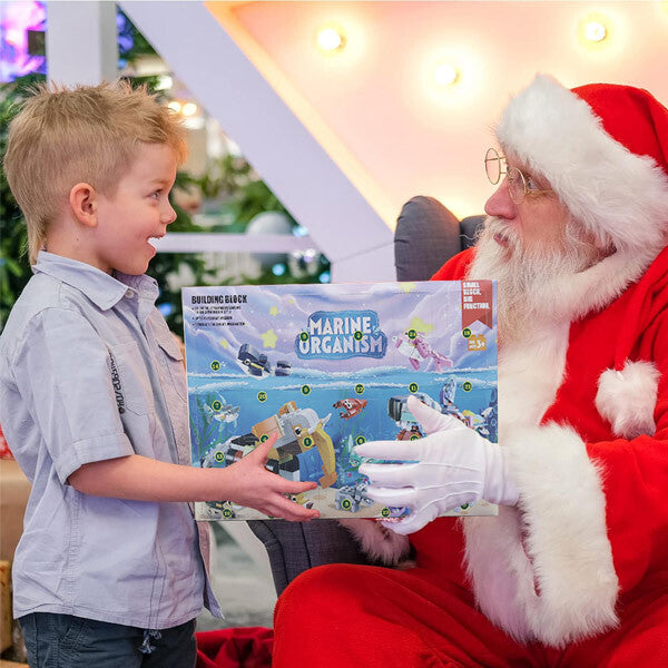 Livingandhome marine animal building block advent calendar (British brand)