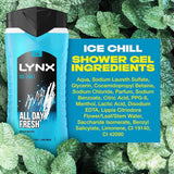 Lynx Bodywash Shower Gel Ice Chill 500ml GOODS Superdrug   