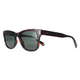 Polaroid brown polarised sunglasses PLD 6206/S, imported from the UK