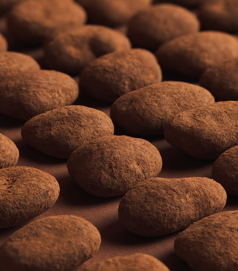 Harrods Cocoa Dusted Milk Chocolate Pecans 270g, UK version