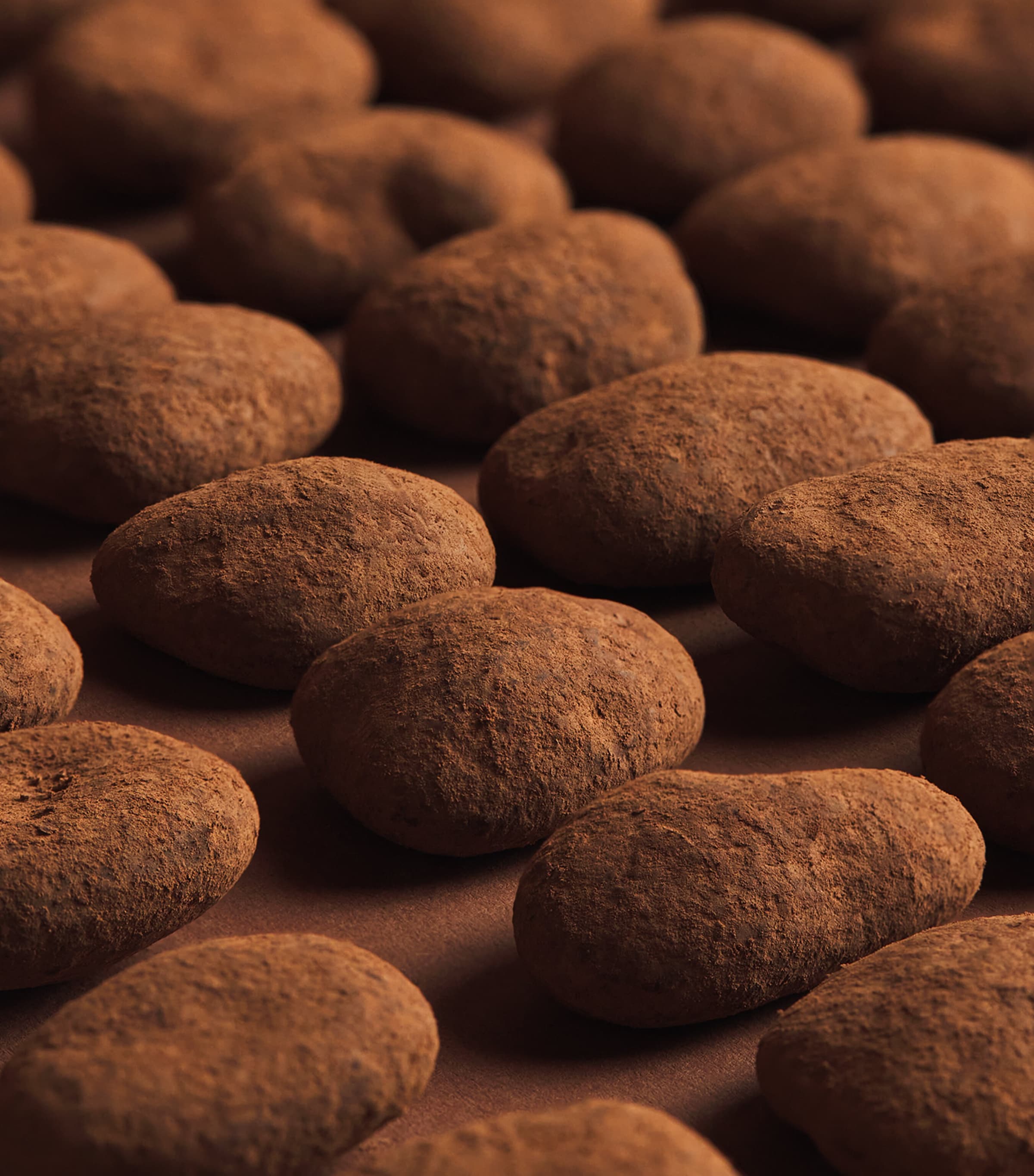 Harrods Cocoa Dusted Milk Chocolate Pecans 270g, UK version