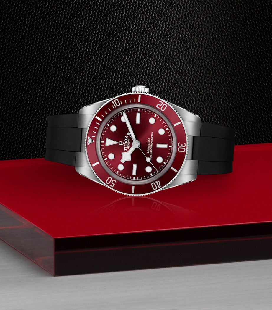 TUDOR Black Bay 58 diver's watch 39mm (British brand)