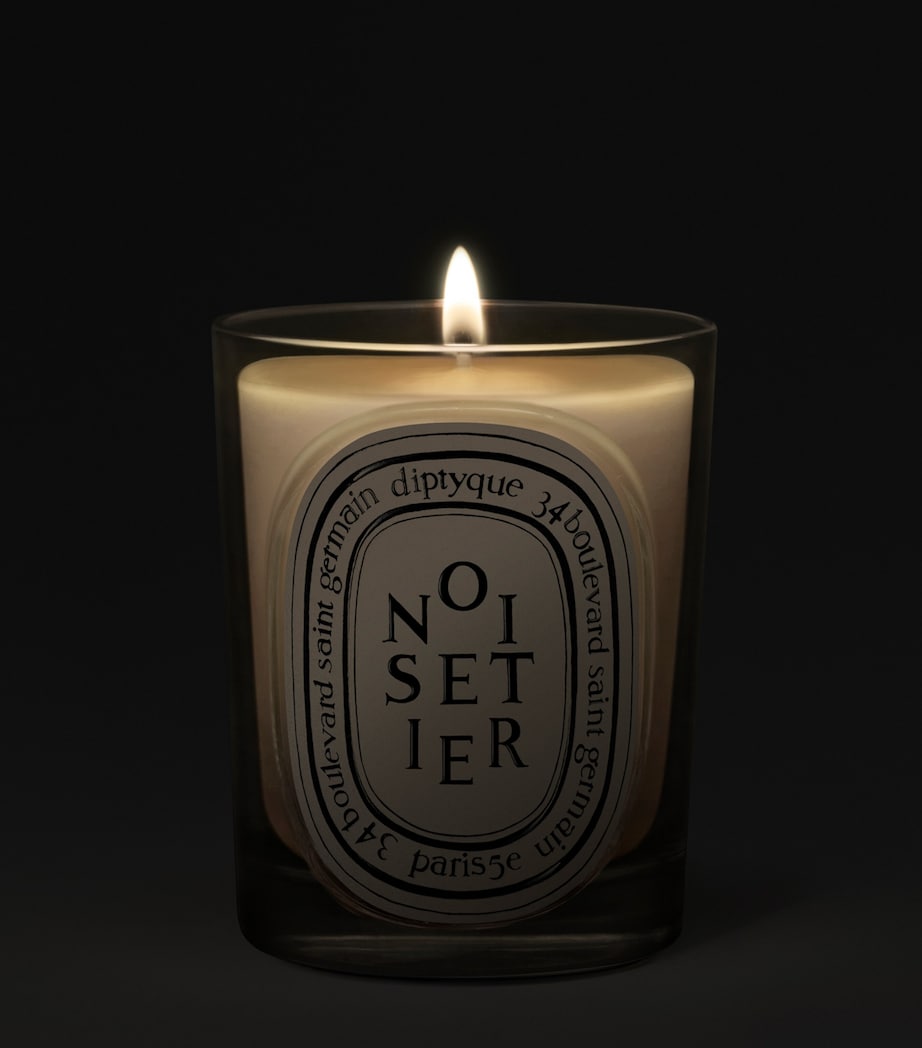 Bougie parfumée à la noisette Diptyque Noisetier 190g, version UK