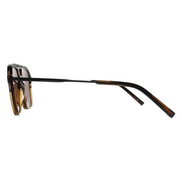 Ted Baker sunglasses brown horn gradient (British brand)