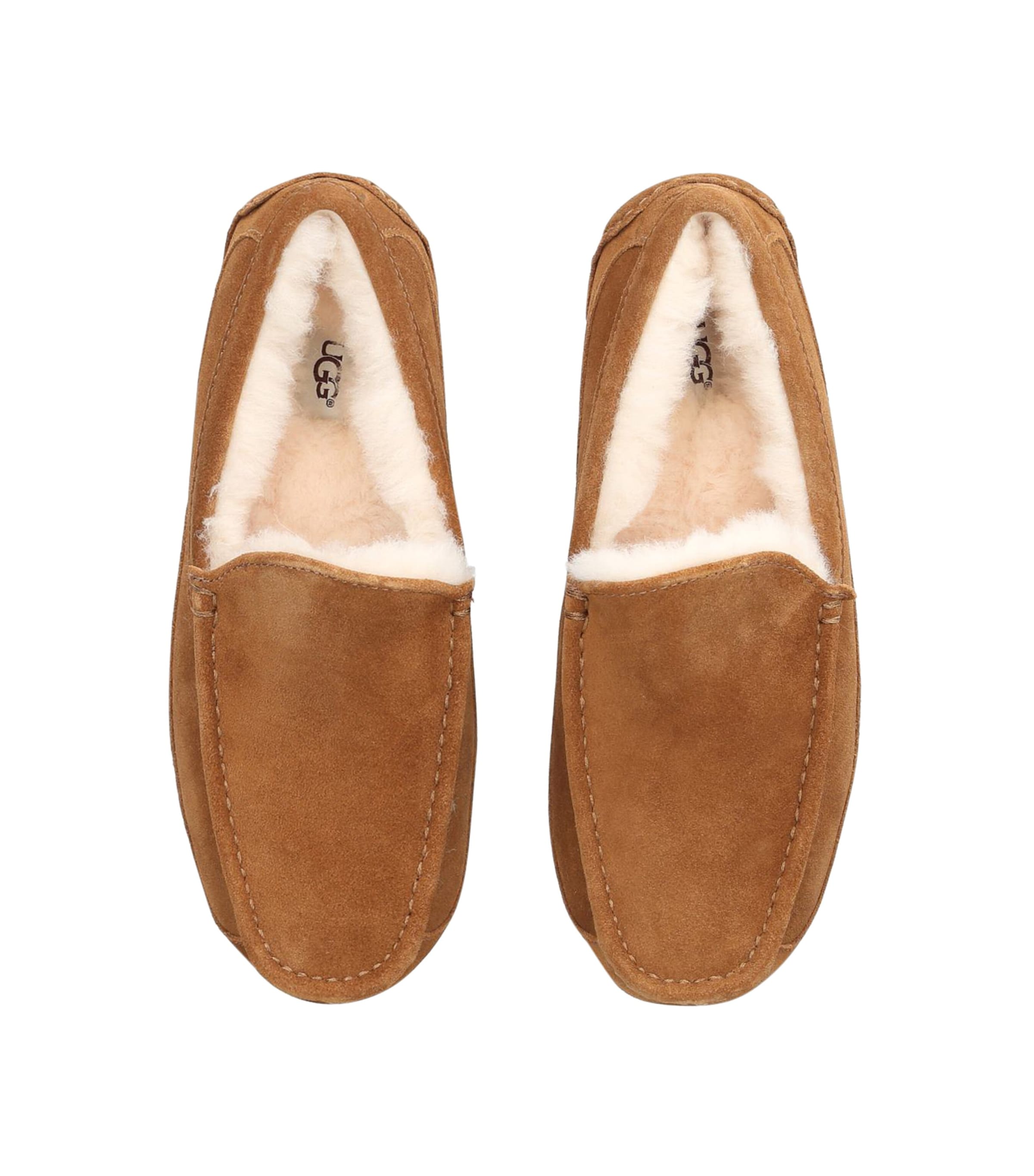 UGG Suede Ascot slippers (British brand)