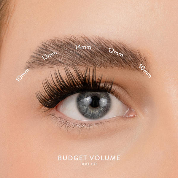 House of Amor Budget Box "Volume" with Mini Bond