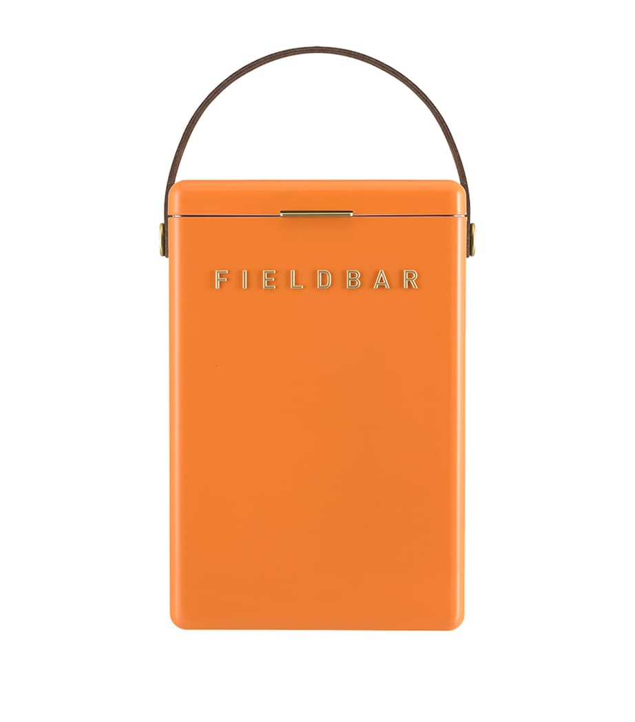 Fieldbar drinks box cooler with interchangeable straps 10L - British product