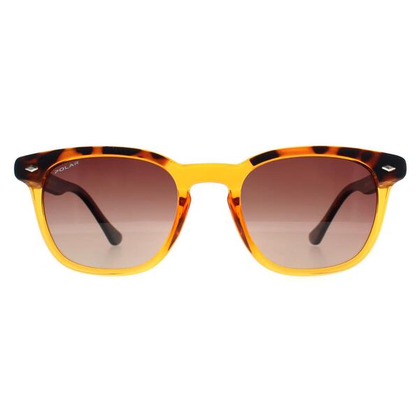 Polar 362 brown polarised men sunglasses - British product