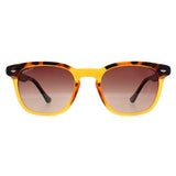 Polar 362 brown polarised men sunglasses - British product