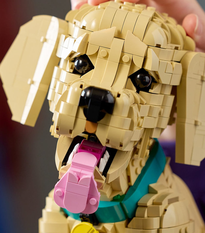 LEGO Icons Golden Retriever Puppy building set 2102 pieces, UK version