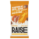 Raise Clusters of Nuts & Seeds Caramel Sea Salt 35g GOODS Sainsburys   