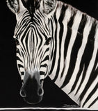 Dolce&Gabbana Casa cotton zebra cushion 45cm x 45cm - British product