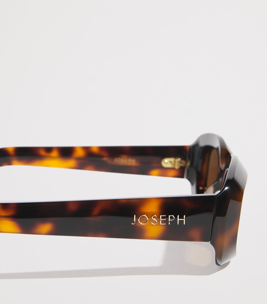 Joseph Bahia oval sunglasses with acetate frame, imported from the UK