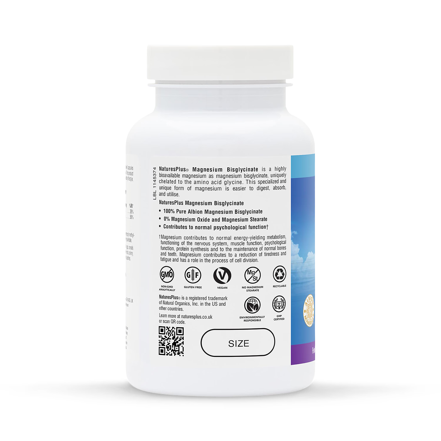 NaturesPlus Magnesium Bisglycinate capsules 90 count (British brand)