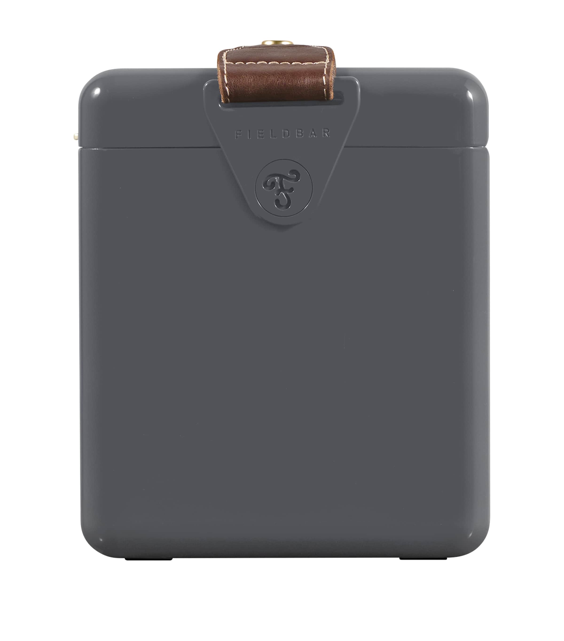 Fieldbar mini bar cooler box with leather sling 4L - British product