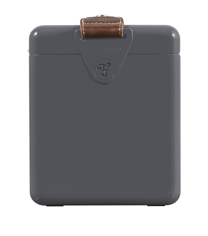 Fieldbar mini bar cooler box with leather sling 4L - British product