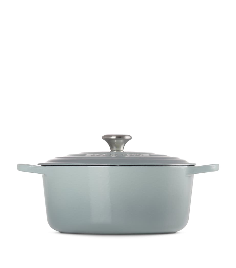 Le Creuset cast iron round casserole dish 28cm, UK version
