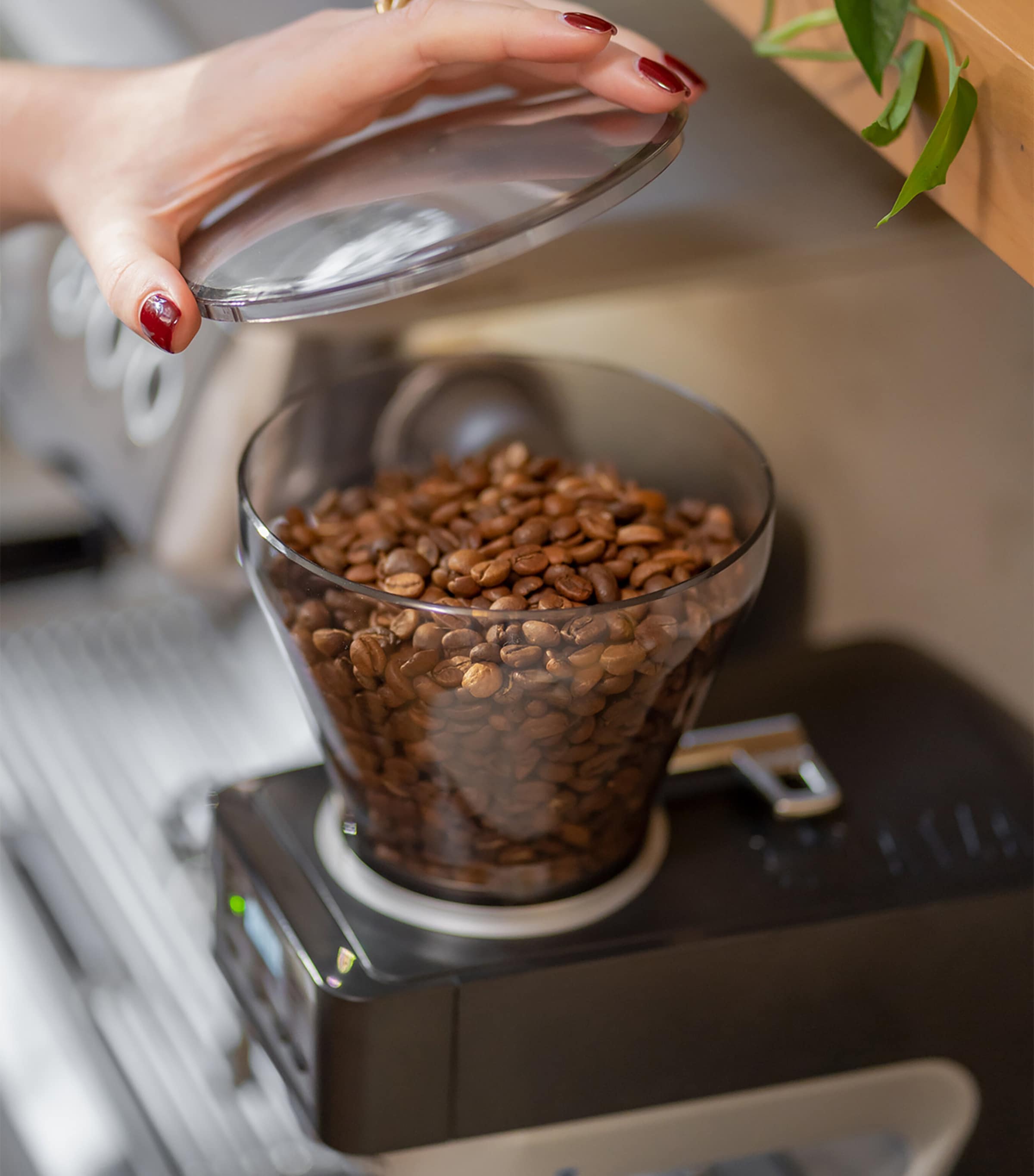 Baratza Sette 270Wi Conical Burr Coffee Grinder - British product