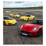 Activity Superstore Double Lamborghini or Double Ferrari Driving Experience