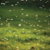 Pyramid Trek midge and tick repellent 60ml - British product