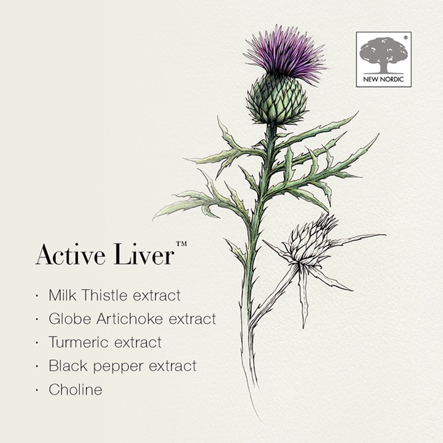 New Nordic Active Liver Tablets 60 imported from the UK