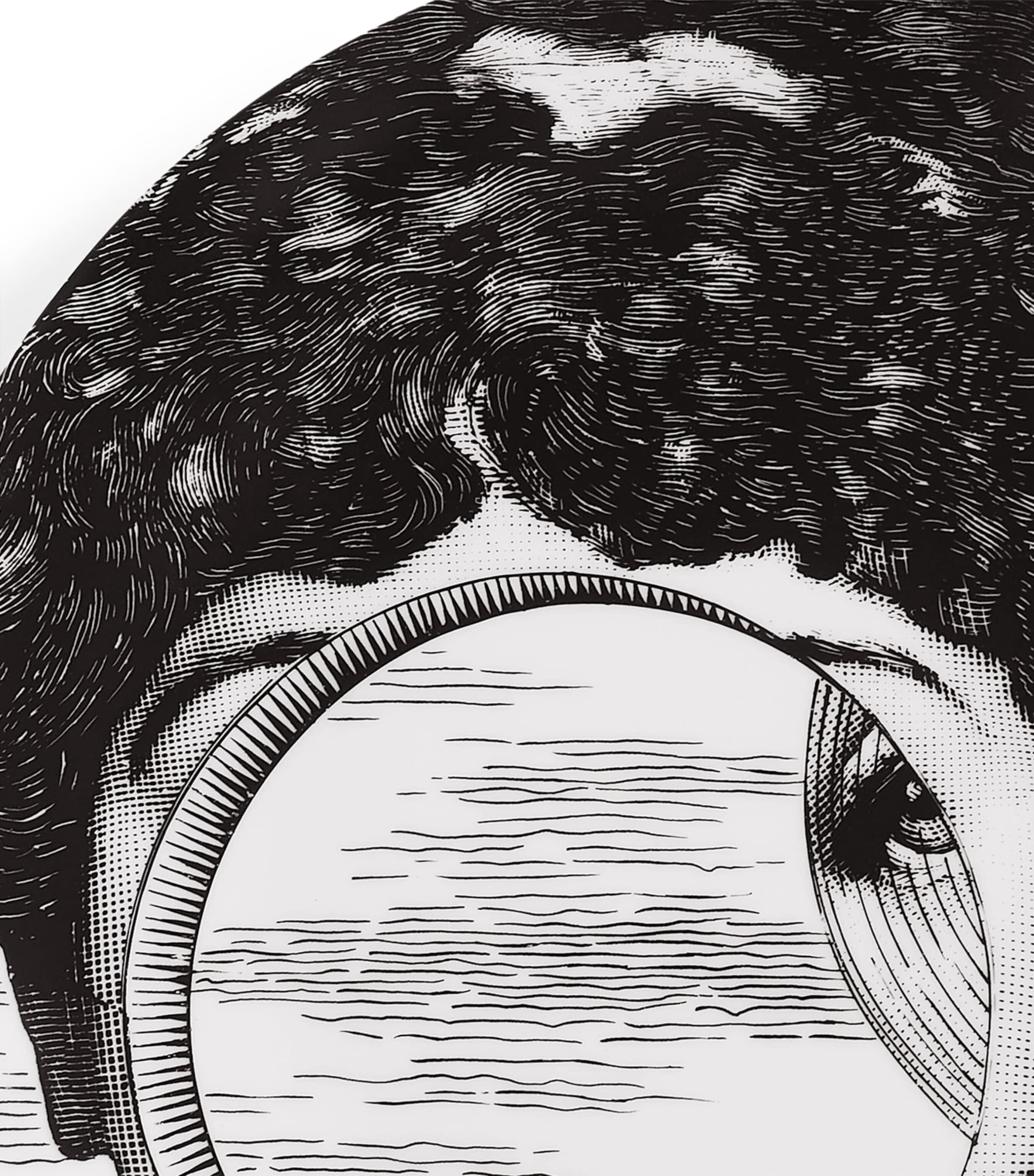 Fornasetti wall plate Tema e Variazioni No. 279 26cm (British brand)