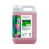 Faith in Nature Wild Rose Hand Wash 5 Litre Natural Hand Wash & Soap Holland&Barrett   