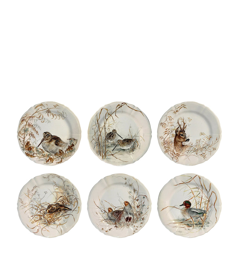 Assorted Wildlife Dessert Plate Set, 6 Pieces, 23cm Diameter