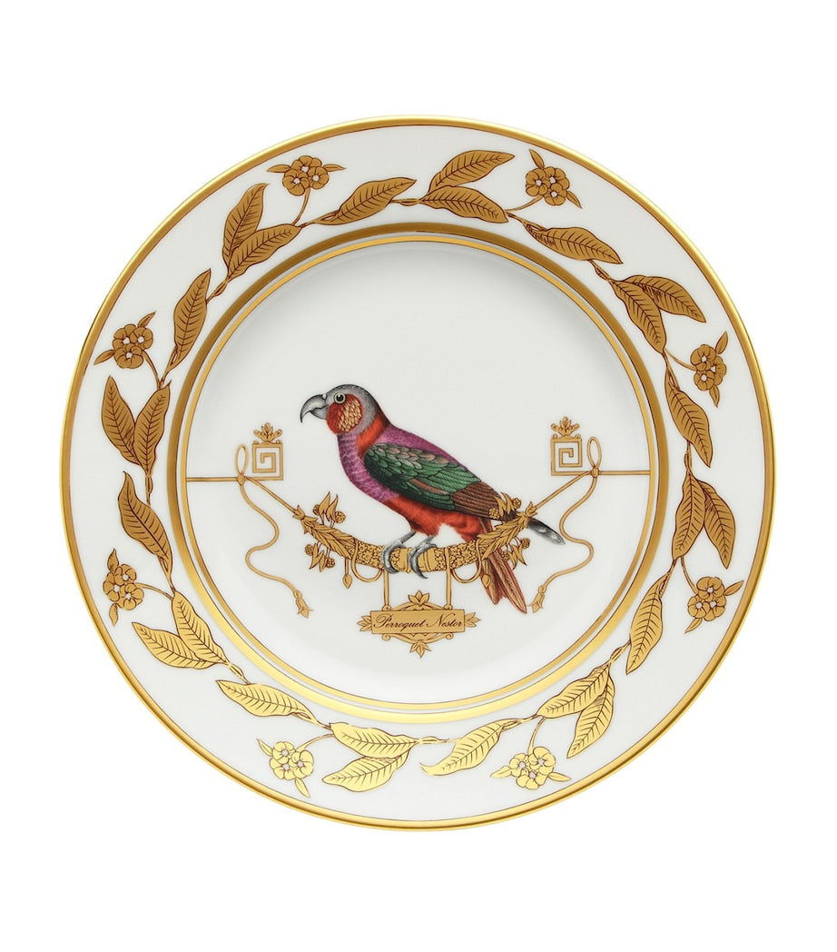 Ginori 1735 Volière parrot dessert plate 22cm (British brand)