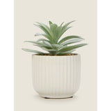 George Home Artificial Aloe in Ribbed Pot GOODS ASDA   