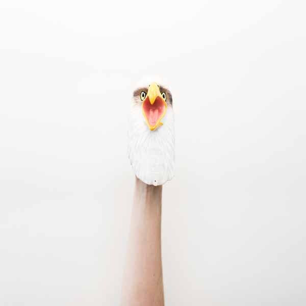 Wild Thingz White Eagle hand puppet (British brand)