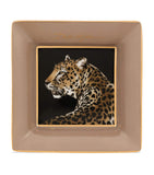 Dolce&Gabbana Casa Leopard decorative square porcelain plates set of 3 10cm - British product