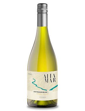 Altamar Leyda Sauvignon Blanc by Unduragga - Case of 6