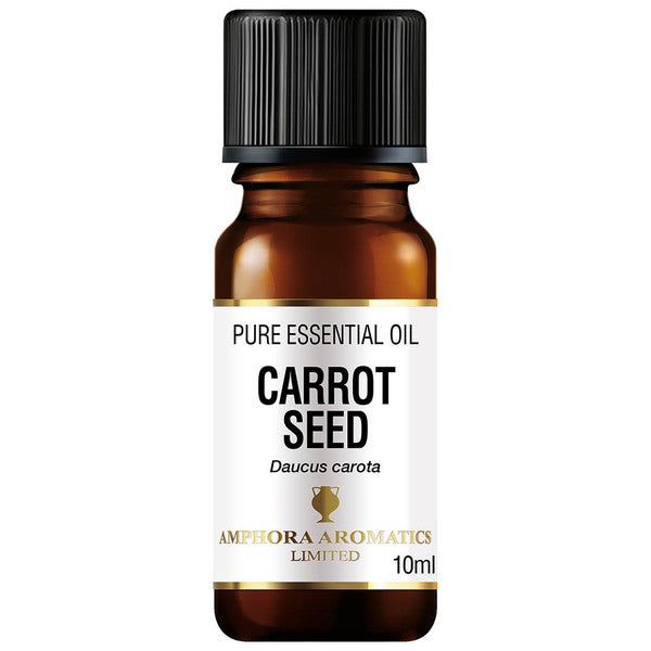 Amphora Aromatics Carrot Seed Essential Oil 10 ml