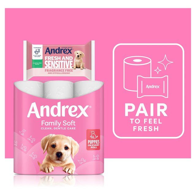 Andrex Hygiene Wipes Fresh and Sensitive Single Pack   30 per pack