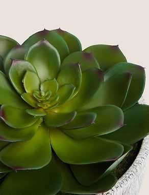 Artificial Echeveria in Concrete Pot - Green, None