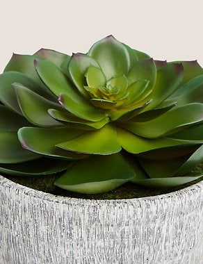 Artificial Echeveria in Concrete Pot - Green, None