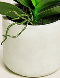 Artificial Extra Large Orchid - White Mix, None