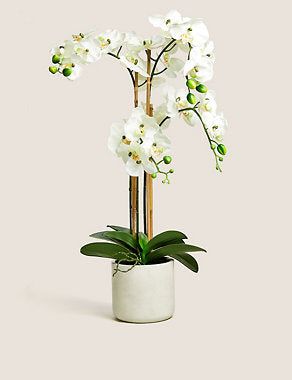 Artificial Extra Large Orchid - White Mix, None