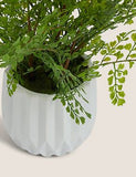 Artificial Fern In Ceramic Pot