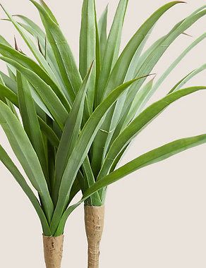 Artificial Floor Standing Yucca Plant in Pot - Green, None