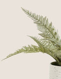 Artificial Large Frosted Leaves House Plant