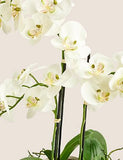 Artificial Large Orchid Plant - Pink, None