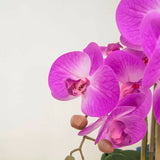 Artificial Large Pink Orchid in Trough Planter