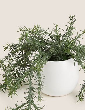 Artificial Large Rosemary House Plant