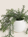 Artificial Large Rosemary House Plant - Green, None